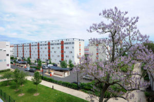 VEILLE ET OBSERVATOIRE DES COPROPRIETES